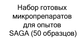 набор готовых микропрепаратов на новый год купить в Суперайс