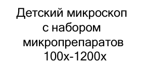 набор готовых микропрепаратов на новый год купить в Суперайс