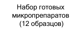 Набор готовых микропрепаратов (12 образцов) в подарок на новый год купить в Суперайс