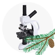 купить школьный микроскоп