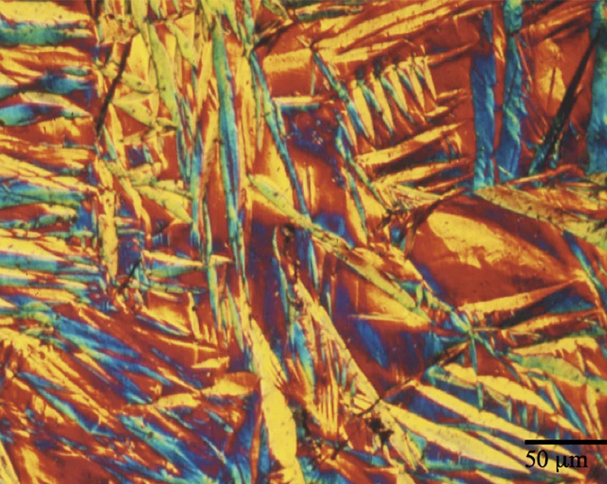 микроскопом с методом ДИК в Суперайс