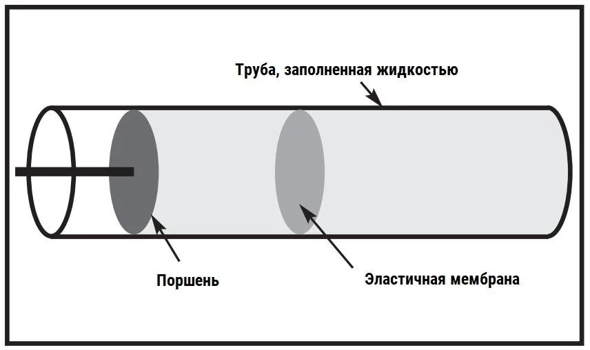 аналогия принципа работы конденсатора конденсатор