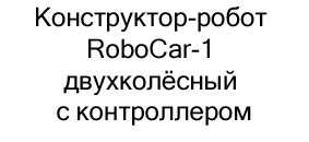 Конструктор-робот RoboCar-1 в подарок на новый год купить в Суперайс
