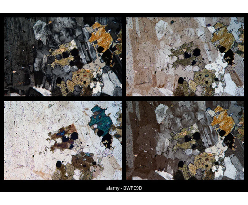 заказать сравнительный микроскоп в Суперайс