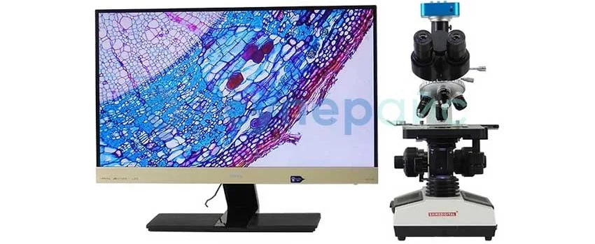 Пример вывода изображения Saike Digital SK2009HDMI-T2H3 Лабораторный микроскоп Saike Digital SK2009HDMI-T2H3 купить в Суперайс