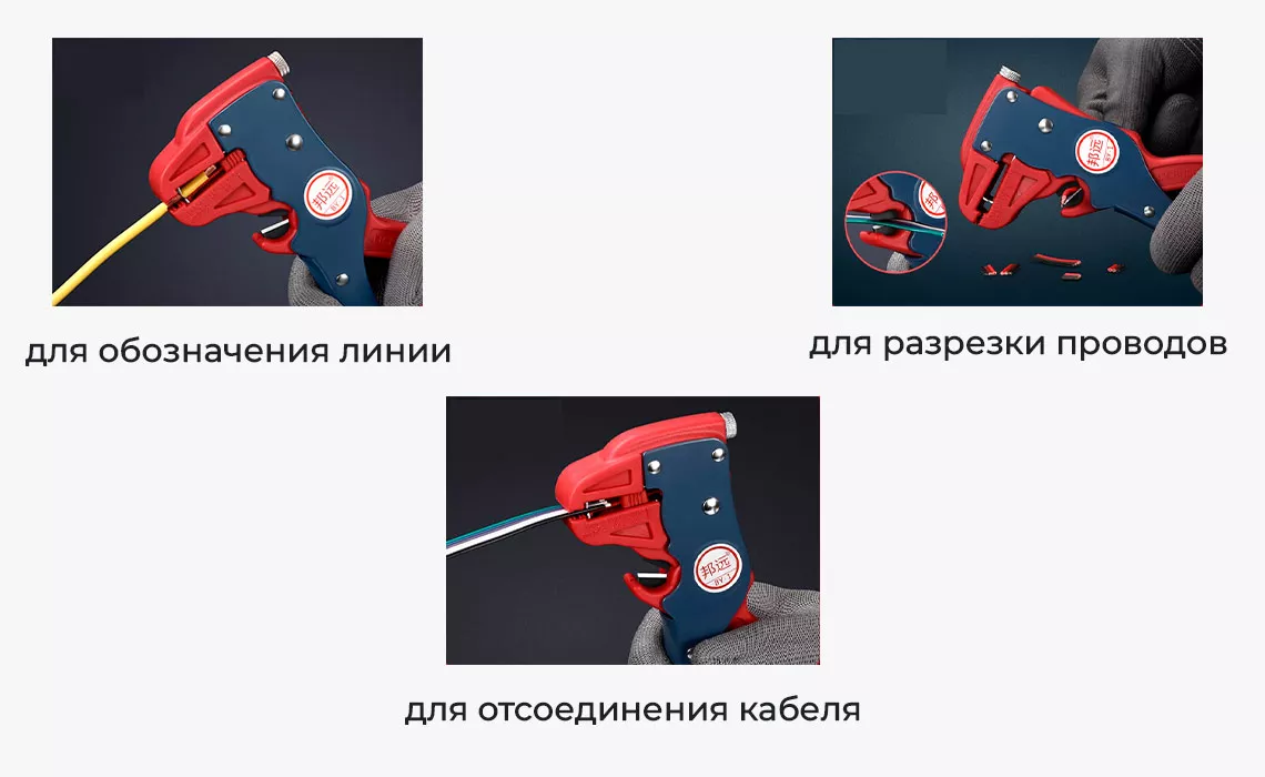 Клещи клещи