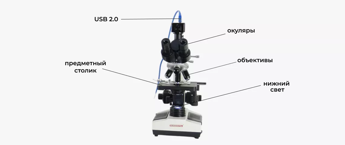 Пример вывода изображения Saike Digital SK2009H2 Лабораторный микроскоп Saike Digital SK2009H2 купить в Суперайс