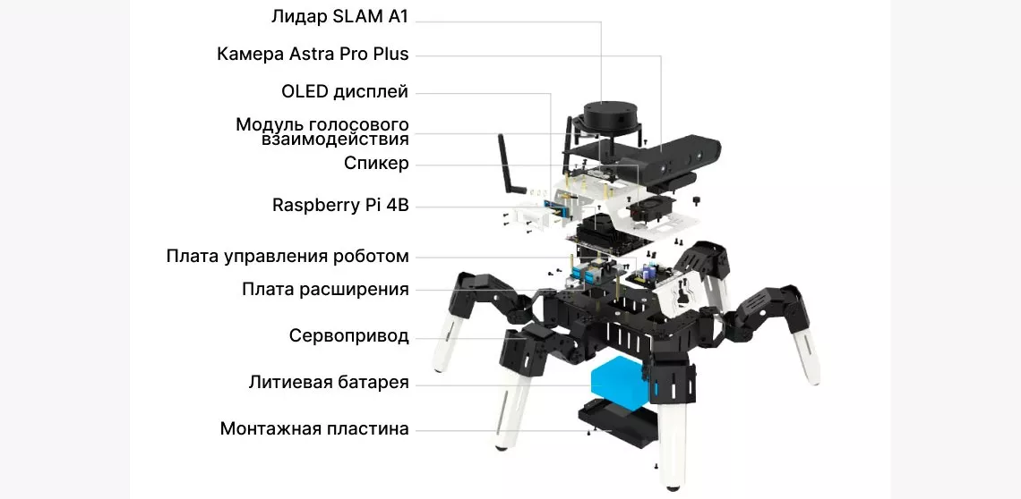 Строение робота Yahboom 18DOF Muto RS Hexapod Робот Yahboom 18DOF Muto RS Hexapod купить в Суперайс