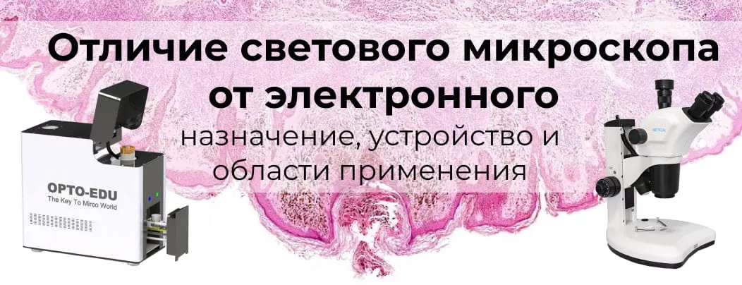 Назначение, устройство и области применения оптического и электронного микроскопа отличие электронного и оптического микроскопа