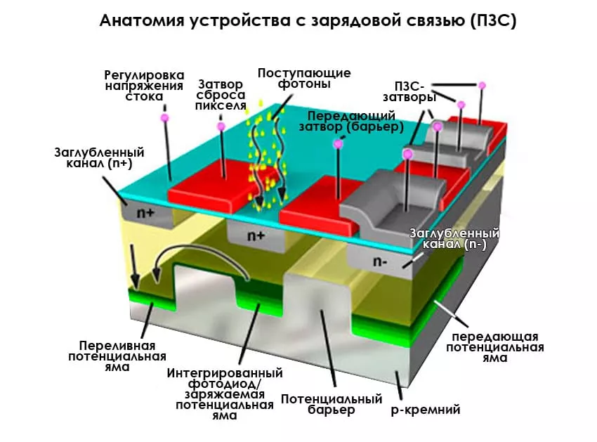 что такое пзс