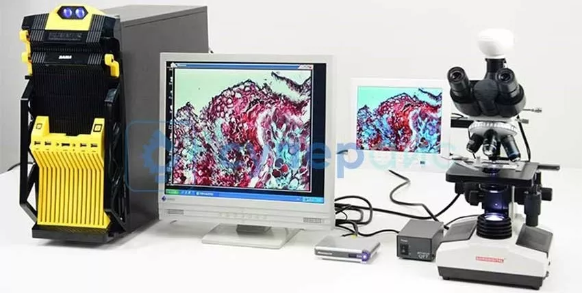 Пример вывода изображения Saike Digital SK2009H2 Лабораторный микроскоп Saike Digital SK2009H2 купить в Суперайс