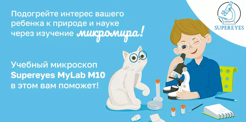 Микроскоп Supereyes MyLab M10 для изучения микромира детьми Детский микроскоп Supereyes MyLab M10 с набором микропрепаратов