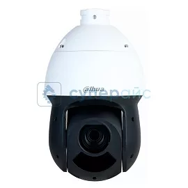 IP-камера Dahua DH-SD49225DB-HNY фото