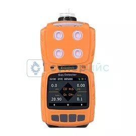Портативный газоанализатор Eranntex MS104K фото
