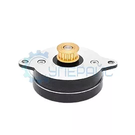 Шаговый электродвигатель UMot 36HKY0402-8WD-200 фото