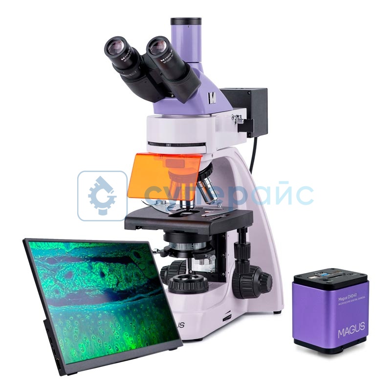 Люминесцентный микроскоп c цифровым дисплеем MAGUS Lum D400L LCD 83019 фото 1