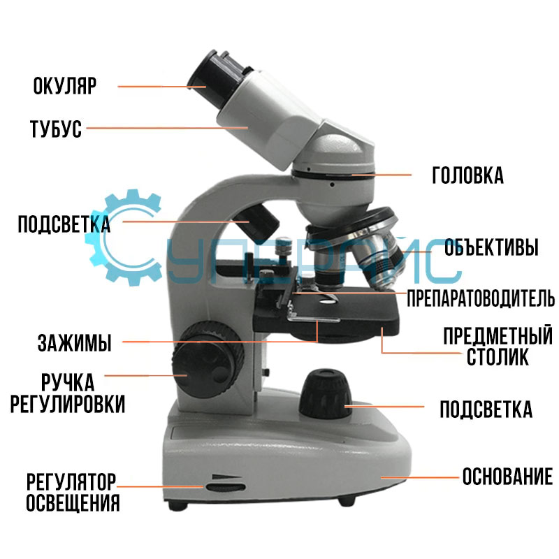 Бинокулярный микроскоп Damingzhi (5000х)