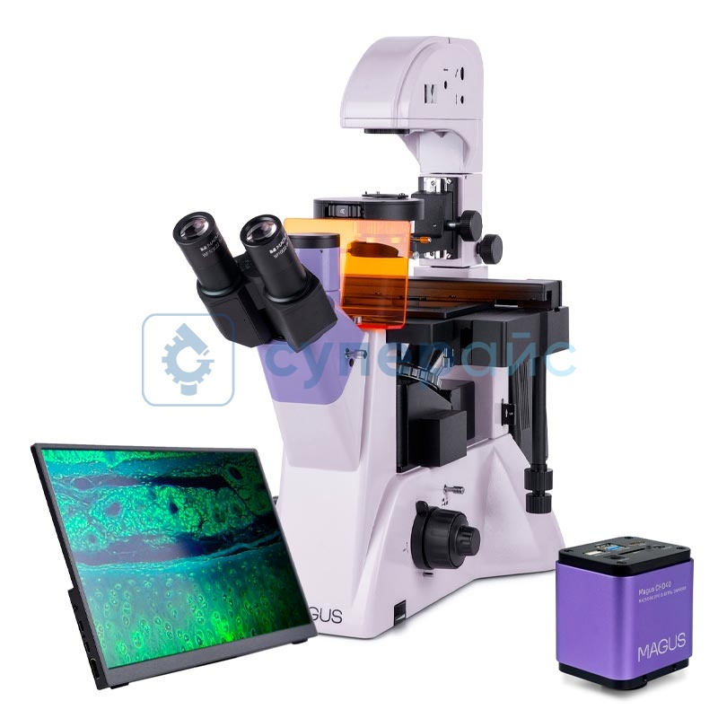Инвертированный микроскоп c цифровым дисплеем MAGUS Lum VD500 LCD 83021 фото 1
