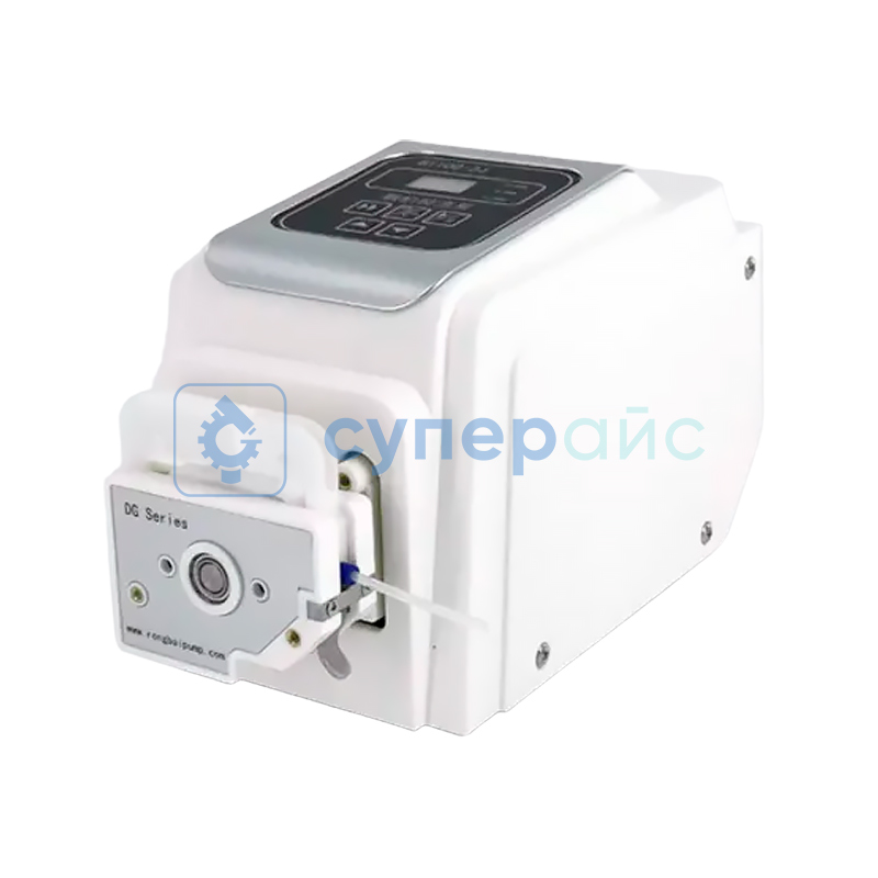 Насос роликовый Rongbai BT100-2J+DG-1(6) фото 1