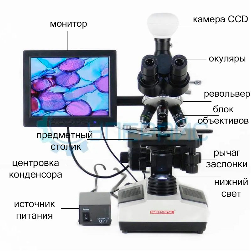 Цифровой биологический микроскоп Saike Digital SK2009H2, тринокулярный