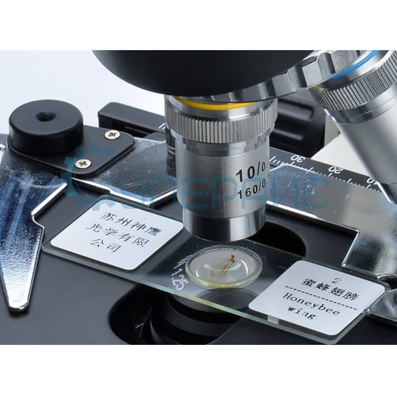 Препараты для микроскопа SAGA (100 образцов)