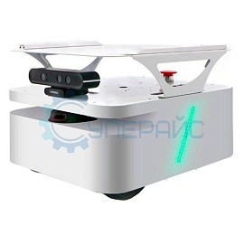 Робот-машина WHEELTEC S100 (DIFF5) с цельнометаллическим корпусом фото