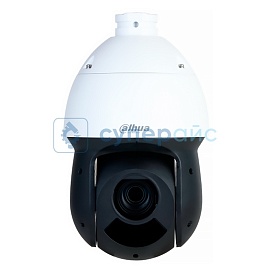 IP-камера Dahua DH-SD49225DB-HNY фото