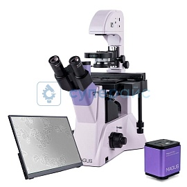 Микроскоп с цифровой камерой MAGUS Bio VD350 LCD 83015 фото