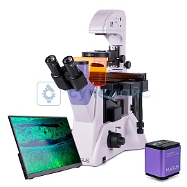 Инвертированный микроскоп c цифровым дисплеем MAGUS Lum VD500 LCD 83021 фото